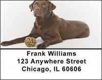 Chocolate Labrador Address Labels | LBBAC-44