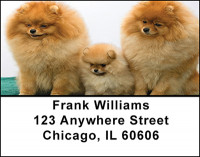 Pomeranian Dog Breed Address Labels | LBBAC-56