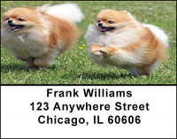 Pomeranian Dog Breed Address Labels | LBBAC-56