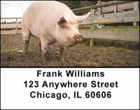 Farm Pigs Address Labels | LBBAK-54