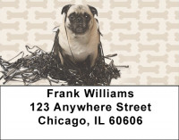 Pugs are Mischievous Address Labels | LBDOG-87
