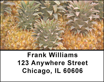 The Pineapple Address Labels | LBBAA-74