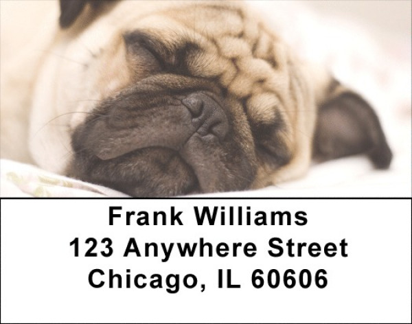 Pugs Are Sleepy Address Labels | LBDOG-86
