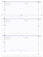 Blue Green 3 Per Page Laser Checks | L3C-BG