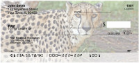 Cheetahs Personal Checks | BAA-10