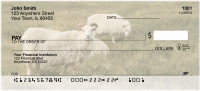 Sheep Personal Checks | BAA-27