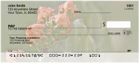 Cactus Growth Personal Checks | BAA-50