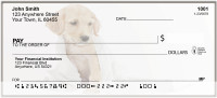 Golden Retriever Dog Breed Personal Checks | BAC-52