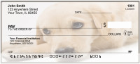 Golden Retriever Dog Breed Personal Checks | BAC-52