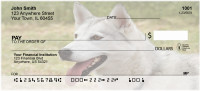 White Husky Dog Personal Checks | BAC-54