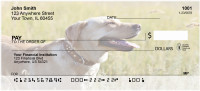 Yellow Labrador Personal Checks | BAC-71