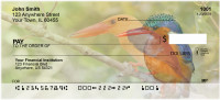 Tropical Kingfisher Birds Personal Checks | BAE-81