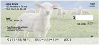Sheep In The Field Personal Checks | BAF-52