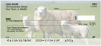 Sheep In The Field Personal Checks | BAF-52