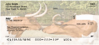 Texas Longhorns Cattle Personal Checks | BAF-54