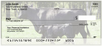 Black Angus Cattle Personal Checks | BAK-27