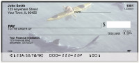 Shark Attacks Personal Checks | BAM-53