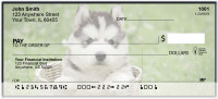 Amazing Siberian Huskies Personal Checks | BAM-81