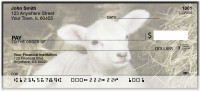Baby Lambs Personal Checks | BAO-19