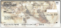Fun In Chicago Personal Checks | BAO-34