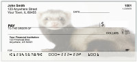 Ferret Curiosity Personal Checks | BAP-65