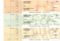 Fruit Multi Purpose Designer Business Checks | BU3-CDS03-DEP
