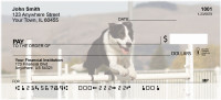 Border Collie Agility Personal Checks | DOG-45