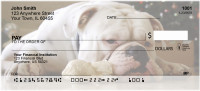 English Bulldog Cuties Personal Checks | DOG-50