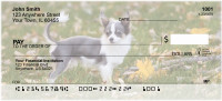 Adorable Chihuahuas Personal Checks | DOG-51