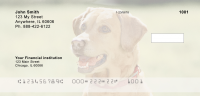 Yellow Lab Majesty Personal Checks | DOG-56