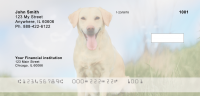 Yellow Lab Majesty Personal Checks | DOG-56