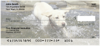 Yellow Lab Puppies Personal Checks | DOG-72