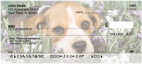 Beagles Are Brilliant Personal Checks | DOG-73