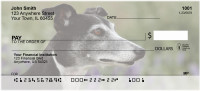 Whippets Are Wily Personal Checks | DOG-75