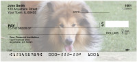 Collies Out and About Personal Checks | DOG-76