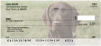 German Shorthair Pointer Personal Checks | DOG-78