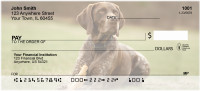 German Shorthair Pointer Personal Checks | DOG-78