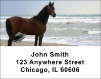 Horses Address Labels | LBANI-02