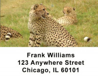 Safari Wildlife Address Labels | LBANI-03