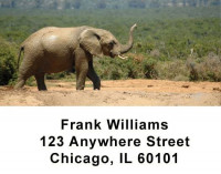 Safari Wildlife Address Labels | LBANI-03