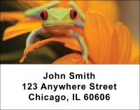 Frogs Address Labels | LBANI-09