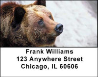 Grizzly Bears Address Labels | LBANI-12