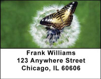 Butterflies in Nature Address Labels | LBANI-17