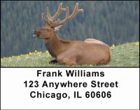 Elk Address Labels | LBANI-23