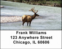 Elk Address Labels | LBANI-23