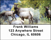 Elk Address Labels | LBANI-23