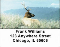 Elk Address Labels | LBANI-23
