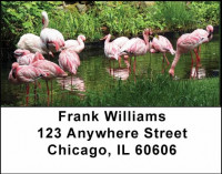 Flamingos Address Labels | LBANI-24