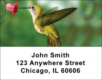 Hummingbirds Address Labels | LBANI-25