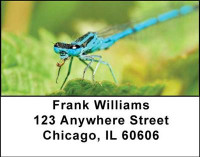 Dragonflies Address Labels | LBANI-26